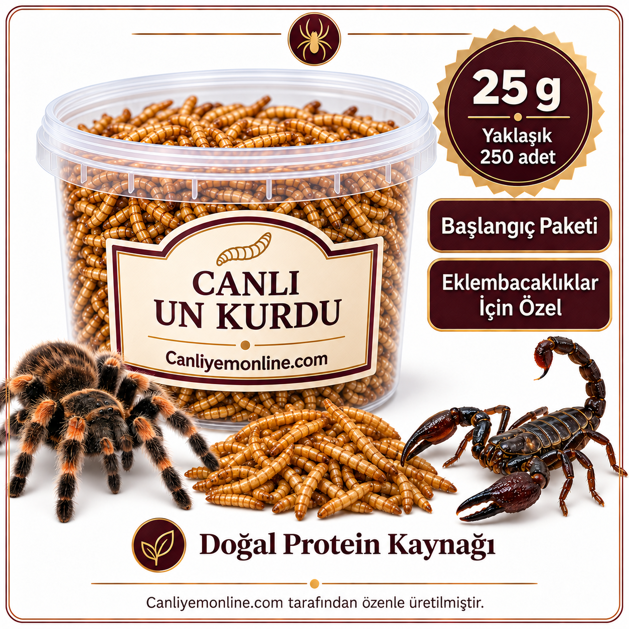 KOÇLAR Eklembacaklılar İçin Canlı Un Kurdu 25 Gr - Yaklaşık 250 Ad