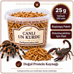KOÇLAR Eklembacaklılar İçin Canlı Un Kurdu 25 Gr - Yaklaşık 250 Ad