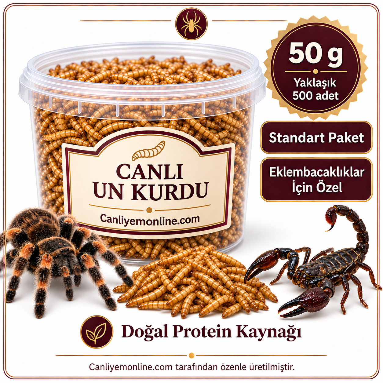KOÇLAR Eklembacaklılar İçin Canlı Un Kurdu 50 Gr - Yaklaşık 500 Ad
