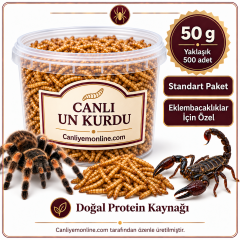 KOÇLAR Eklembacaklılar İçin Canlı Un Kurdu 50 Gr - Yaklaşık 500 Ad