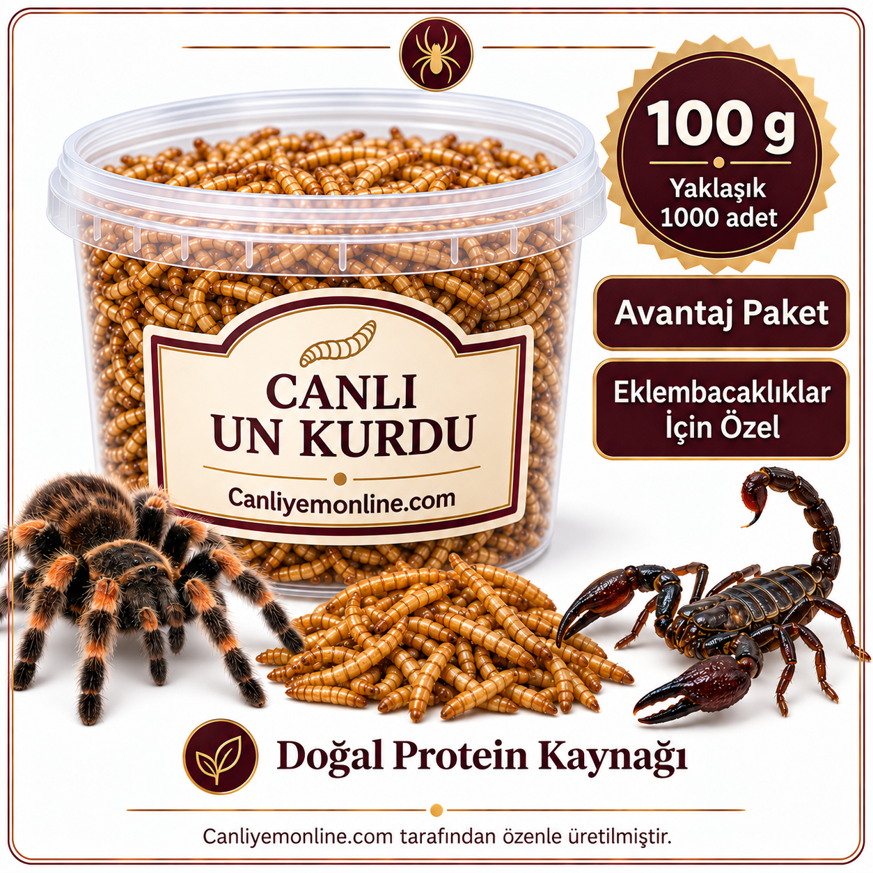 KOÇLAR Eklembacaklılar İçin Canlı Un Kurdu 100 Gr - Yaklaşık 1000 Ad