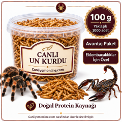 KOÇLAR Eklembacaklılar İçin Canlı Un Kurdu 100 Gr - Yaklaşık 1000 Ad