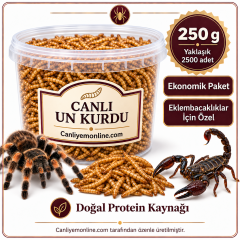 KOÇLAR Eklembacaklılar İçin Canlı Un Kurdu 250 Gr - Yaklaşık 2500 Ad