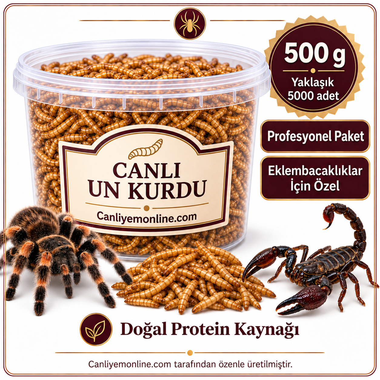 KOÇLAR Eklembacaklılar İçin Canlı Un Kurdu 500 Gr - Yaklaşık 5000 Ad