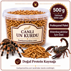 KOÇLAR Eklembacaklılar İçin Canlı Un Kurdu 500 Gr - Yaklaşık 5000 Ad