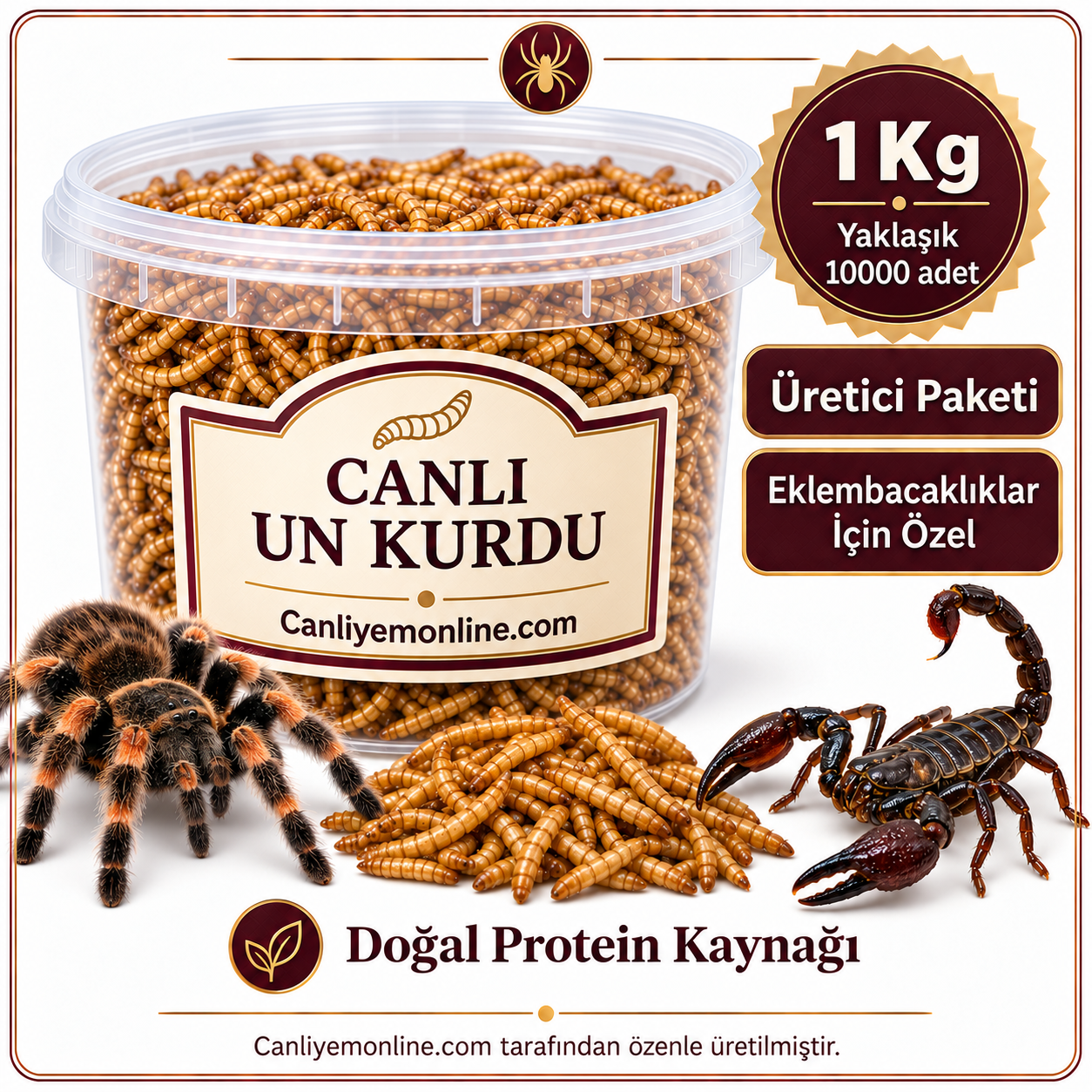 KOÇLAR Eklembacaklılar İçin Canlı Un Kurdu 1 Kg Yaklaşık - 10000 Ad
