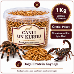 KOÇLAR Eklembacaklılar İçin Canlı Un Kurdu 1 Kg Yaklaşık - 10000 Ad