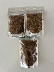 KOÇLAR Eklembacaklılar İçin Canlı Un Kurdu 1 Kg Yaklaşık - 10000 Ad
