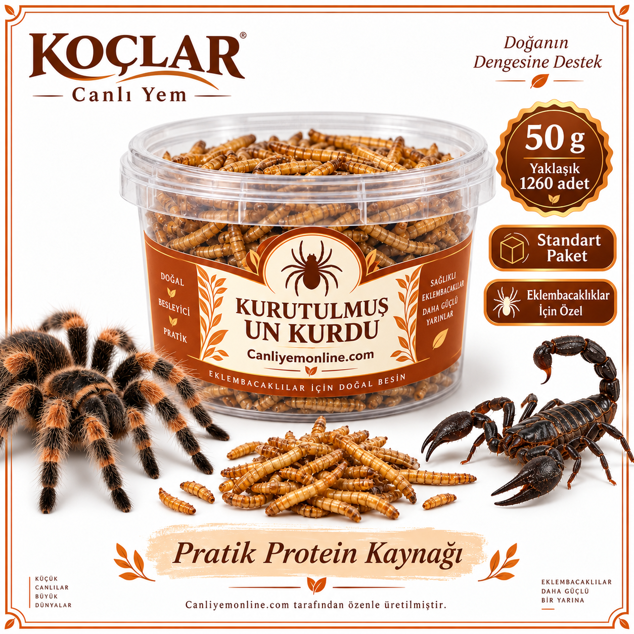 KOÇLAR Eklembacaklılar İçin Kurutulmuş Yem Un Kurdu 50 Gr - Yaklaşık 1260 Adet