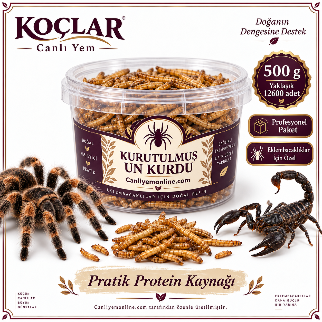 KOÇLAR Eklembacaklılar İçin Kurutulmuş Yem Un Kurdu 500 Gr - Yaklaşık 12600 Adet