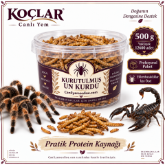 KOÇLAR Eklembacaklılar İçin Kurutulmuş Yem Un Kurdu 500 Gr - Yaklaşık 12600 Adet