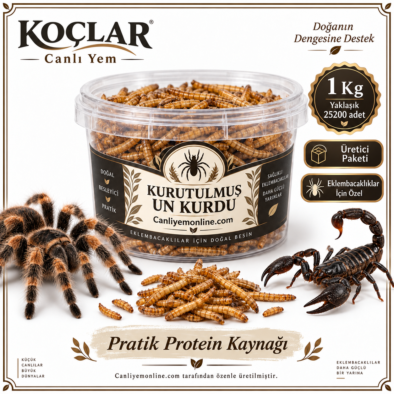 KOÇLAR Eklembacaklılar İçin Kurutulmuş Yem Un Kurdu 1 Kg - Yaklaşık 25200 Adet