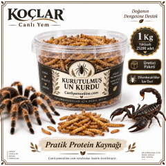 KOÇLAR Eklembacaklılar İçin Kurutulmuş Yem Un Kurdu 1 Kg - Yaklaşık 25200 Adet