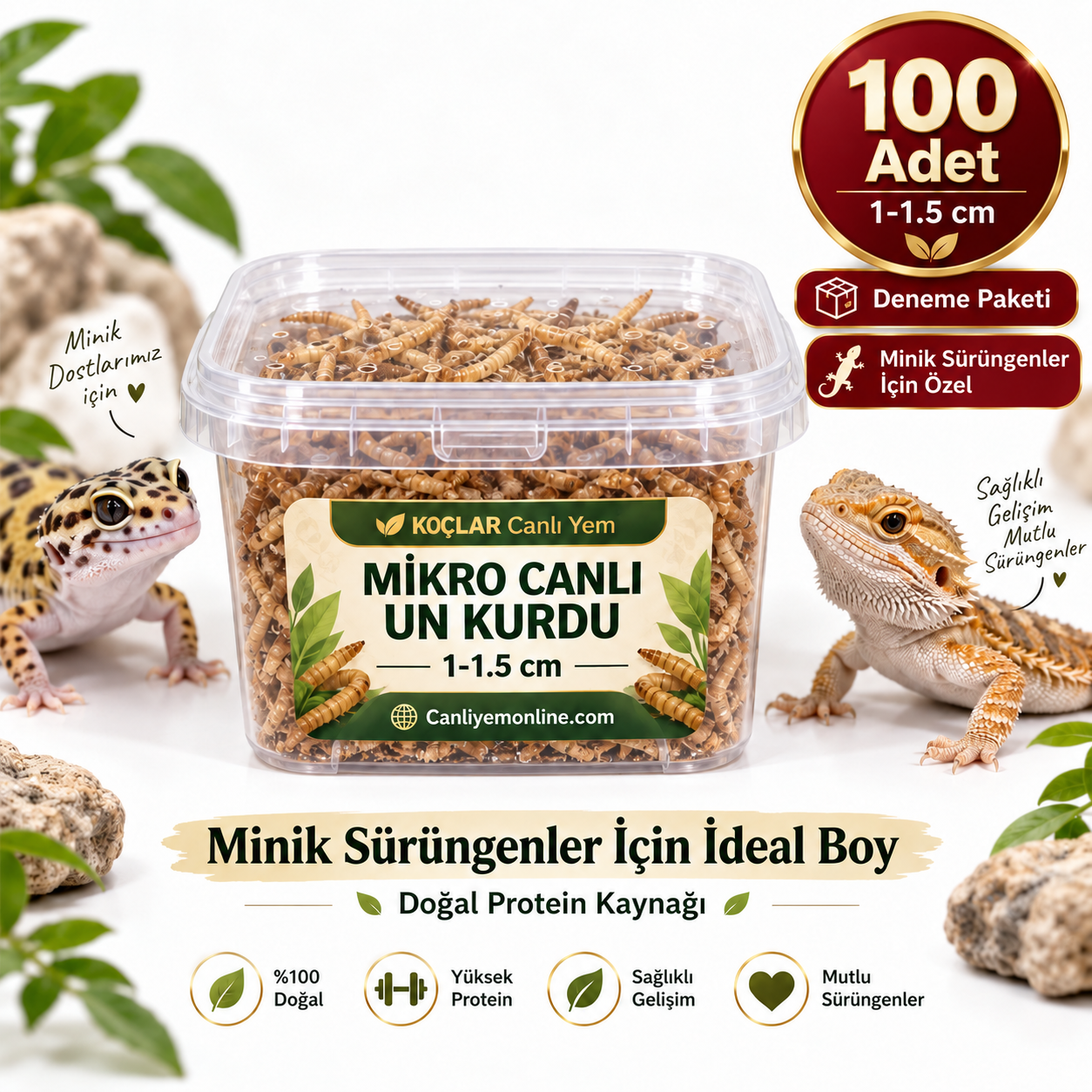 Minik Sürüngenler İçin Mikro Canlı Un Kurdu 1-1.5 cm | 100 Adet