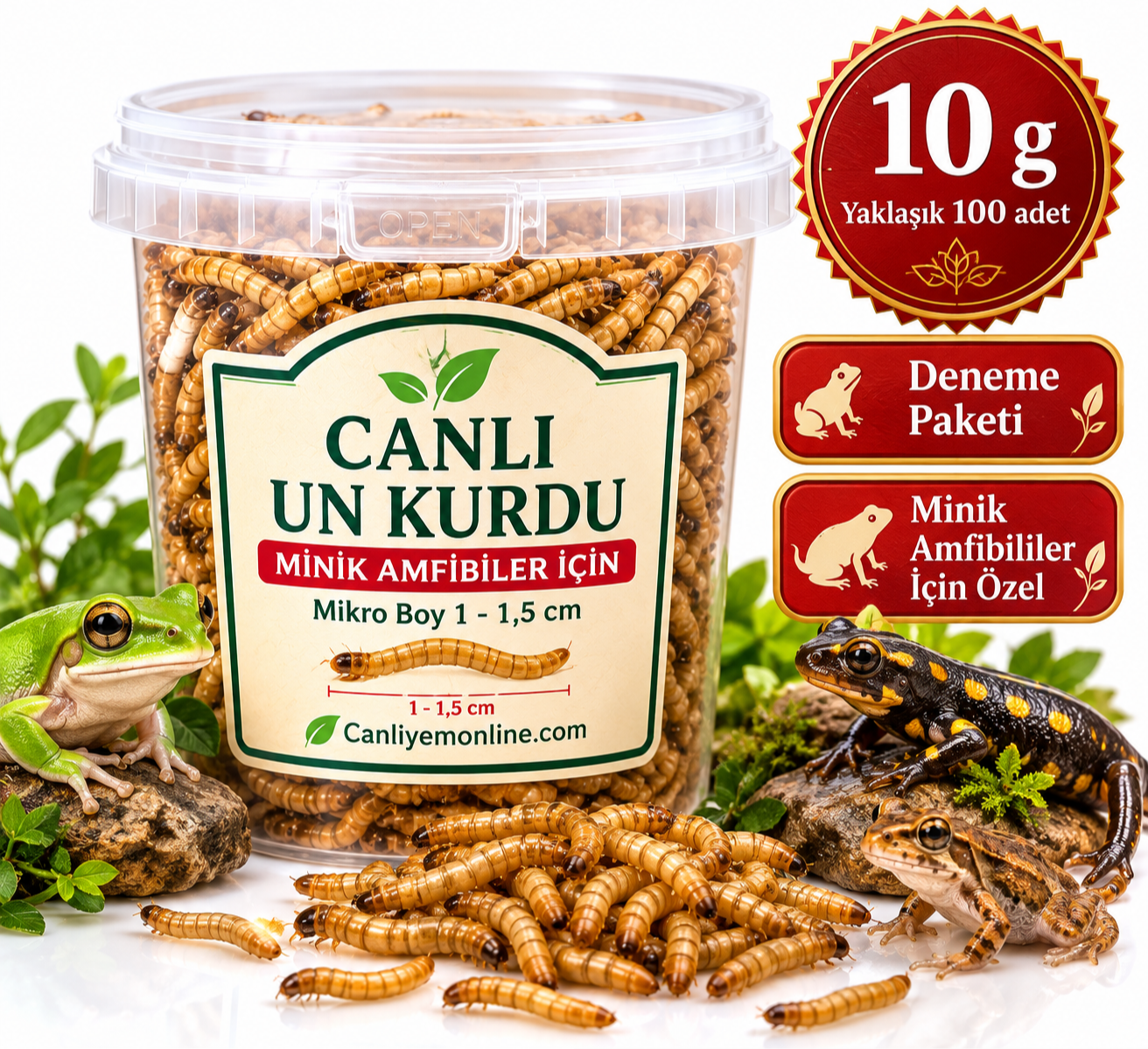 Minik Amfibiler İçin Mikro Canlı Un Kurdu 1-1.5 cm | 100 Adet