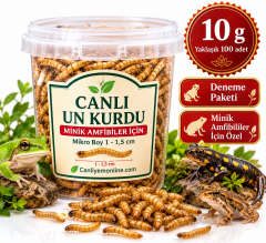 Minik Amfibiler İçin Mikro Canlı Un Kurdu 1-1.5 cm | 100 Adet