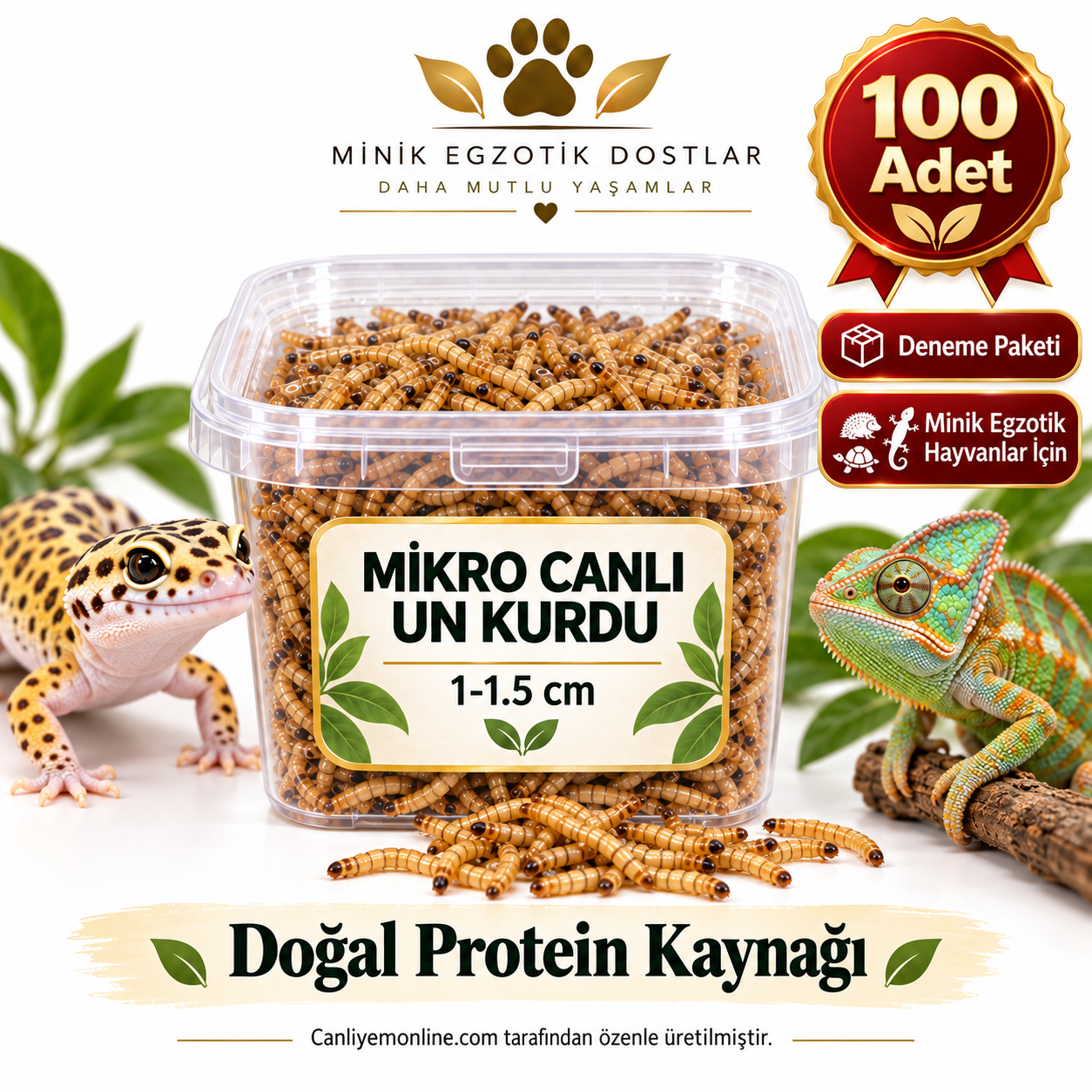 Minik Egzotik Hayvanlar İçin Mikro Canlı Un Kurdu 1-1.5 cm | 100 Adet