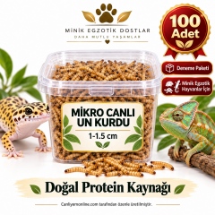 Minik Egzotik Hayvanlar İçin Mikro Canlı Un Kurdu 1-1.5 cm | 100 Adet