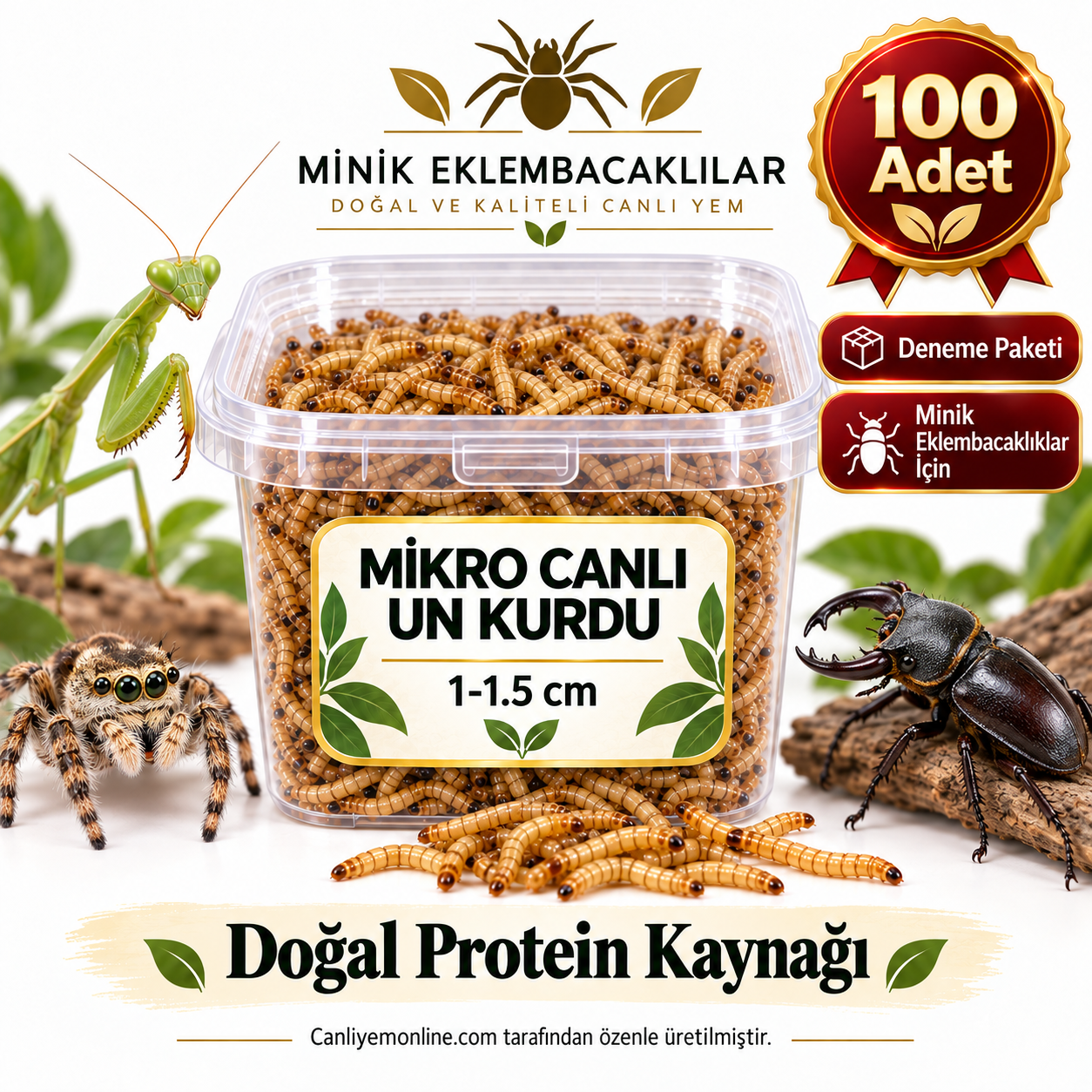Minik Eklembacaklılar İçin Mikro Canlı Un Kurdu 1-1.5 cm | 100 Adet