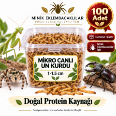 Minik Eklembacaklılar İçin Mikro Canlı Un Kurdu 1-1.5 cm | 100 Adet