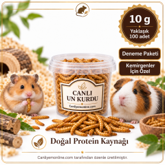 KOÇLAR Kemirgenler İçin Canlı Yem Un Kurdu 10 g - Yaklaşık 100 Adet