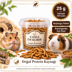 KOÇLAR Kemirgenler İçin Canlı Yem Un Kurdu 25 g - Yaklaşık 250 Adet