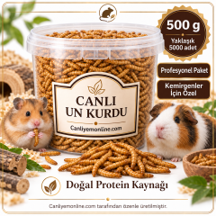 KOÇLAR Kemirgenler İçin Canlı Yem Un Kurdu 500 g - Yaklaşık 5000 Adet