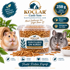 KOÇLAR Kemirgenler İçin Kurutulmuş Yem Un Kurdu 500 Gr - Yaklaşık 12600 Adet